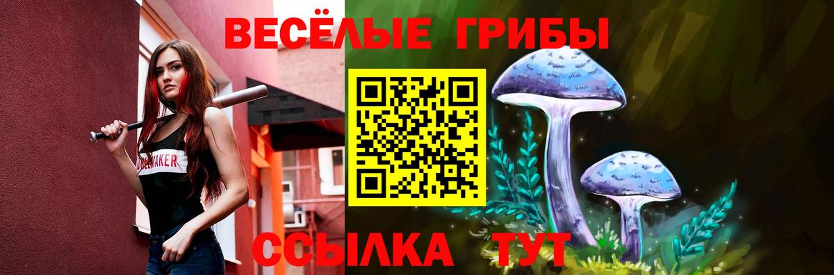 Псилоцибиновые грибы прущие грибы  что такое наркотик  Александров  Вход с VPN 